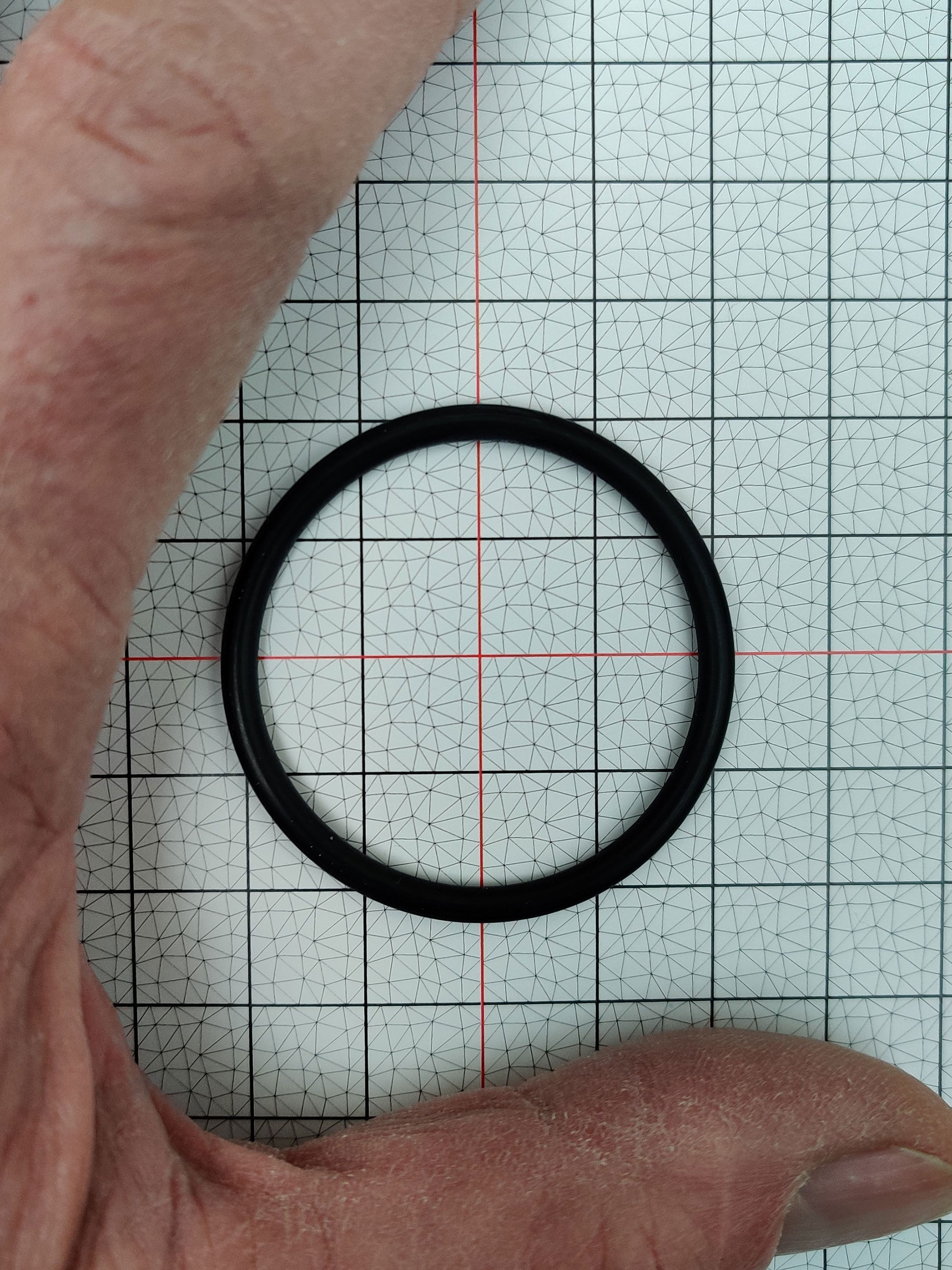 Photograph contains debris and other artefacts